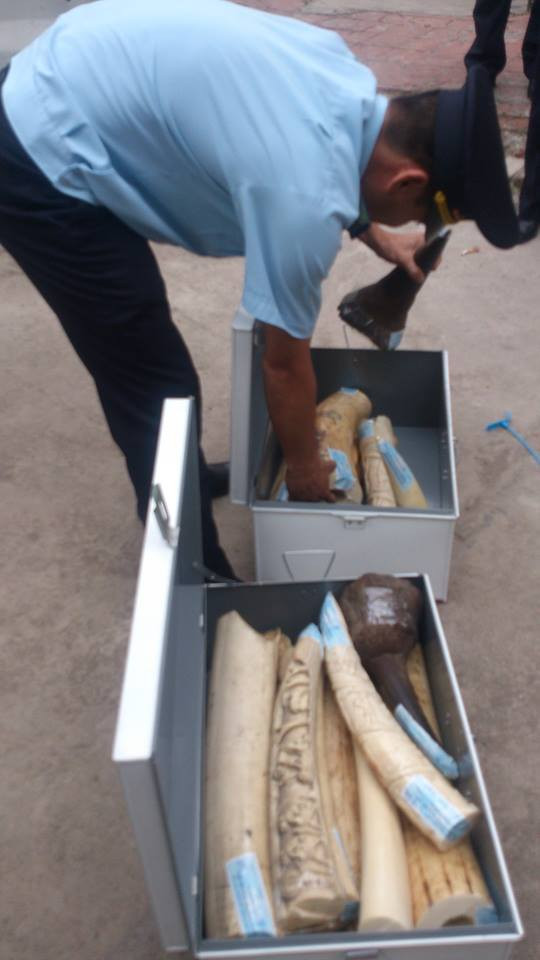 Bắt vụ buôn lậu lớn sừng tê giác, ngà voi Châu Phi tại Nội Bài ảnh 1