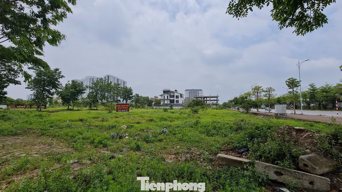 Cụ thể, thông báo được gửi đến UBND quận Hà Đông, UBND huyện Thanh Oai với nội dung: Ngày 16/5/2022, chủ đầu tư khởi công xây dựng công trình nhà ở thấp tầng khu B1.1 thuộc dự án khu đô thị Thanh Hà Cienco 5.