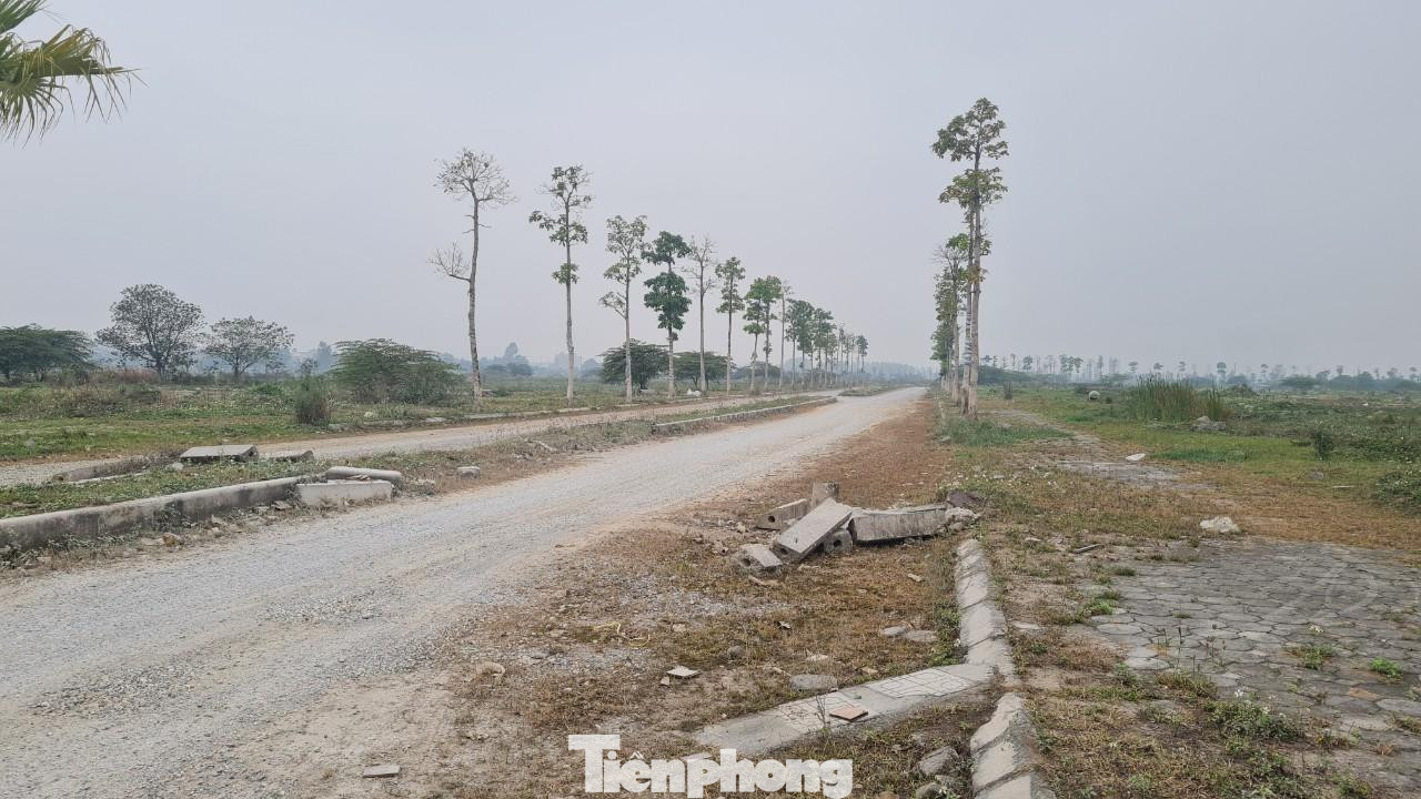 Trong vai có nhu cầu mua biệt thự, liền kề, PV được nhân viên một sàn môi giới cho biết, đất khu đô thị Thanh Hà Cienco đang có đợt &quot;sóng&quot; tăng giá mới sau khi có thông tin chủ đầu tư thông báo khởi công công trình nhà thấp tầng tại lô B1.1. Hiện giá các lô biệt thự, liền kề tại đây giao động từ 60-65 triệu đồng/m2.