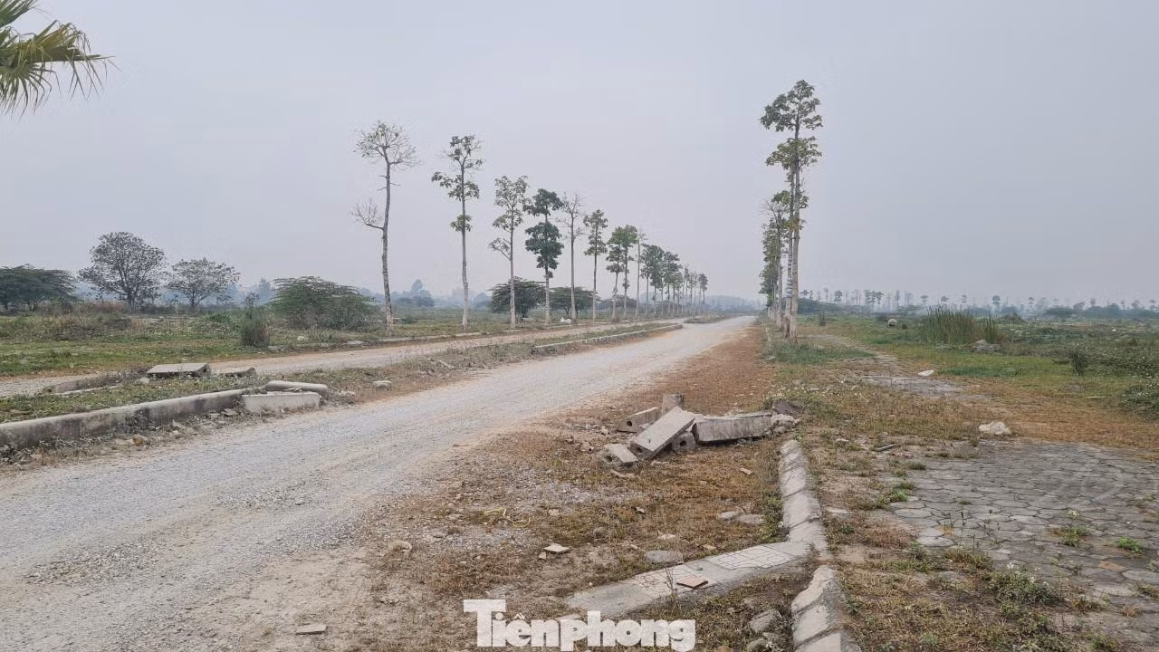 Trong vai có nhu cầu mua biệt thự, liền kề, PV được nhân viên một sàn môi giới cho biết, đất khu đô thị Thanh Hà Cienco đang có đợt "sóng" tăng giá mới sau khi có thông tin chủ đầu tư thông báo khởi công công trình nhà thấp tầng tại lô B1.1. Hiện giá các lô biệt thự, liền kề tại đây giao động từ 60-65 triệu đồng/m2.