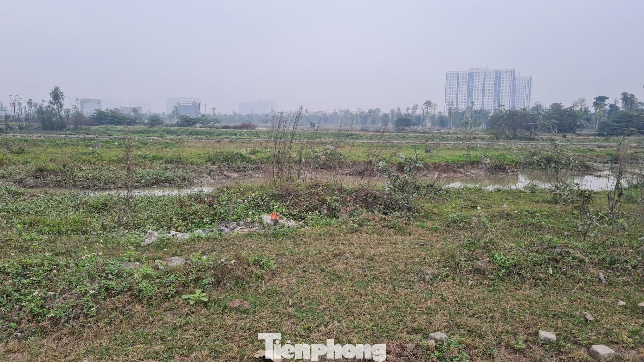 Không chỉ tại vị trí khu đất có thông báo xây dựng công trình tăng giá mà các lô tại ví trí khác cũng tăng giá ăn theo. Đơn cử những lô biệt thự diện tích 200m2 đang có giá giao động từ 50-60 triệu đồng/m2, trong khi đó lô có diện tích lớn trên 300m2, giá giao động từ 46-47 triệu đồng/m2. Mức giá này cao hơn so với thời điểm trước khi có thông tin chủ đầu khởi công khu nhà thấp tầng từ 4-5 giá. Thậm chí, có lô tăng đến 10 giá nhưng có hàng để bán.