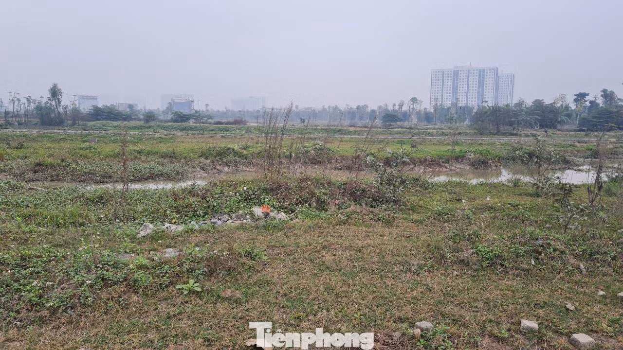 Không chỉ tại vị trí khu đất có thông báo xây dựng công trình tăng giá mà các lô tại ví trí khác cũng tăng giá ăn theo. Đơn cử những lô biệt thự diện tích 200m2 đang có giá giao động từ 50-60 triệu đồng/m2, trong khi đó lô có diện tích lớn trên 300m2, giá giao động từ 46-47 triệu đồng/m2. Mức giá này cao hơn so với thời điểm trước khi có thông tin chủ đầu khởi công khu nhà thấp tầng từ 4-5 giá. Thậm chí, có lô tăng đến 10 giá nhưng có hàng để bán.