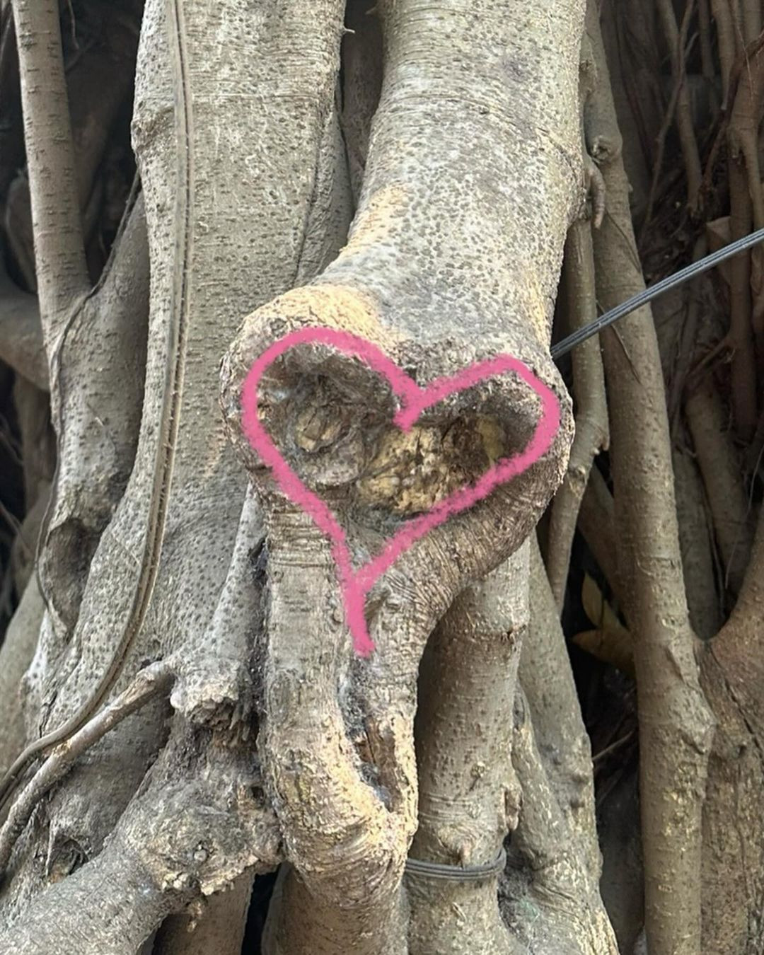 Jung Il Woo thưởng thức phở, bia và những điều bình dị ở Hà Nội. Ảnh: IG. Jung Il Woo thưởng thức phở, bia và những điều bình dị ở Hà Nội. Ảnh: IG.