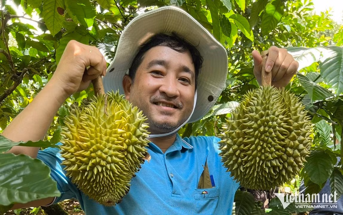 Sầu riêng Việt xuất khẩu sang Trung Quốc có sức tăng trưởng cao. Ảnh: Tâm An.