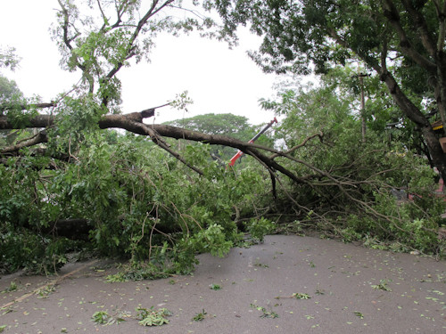 Container bị gió bão quật đổ được xếp lại.