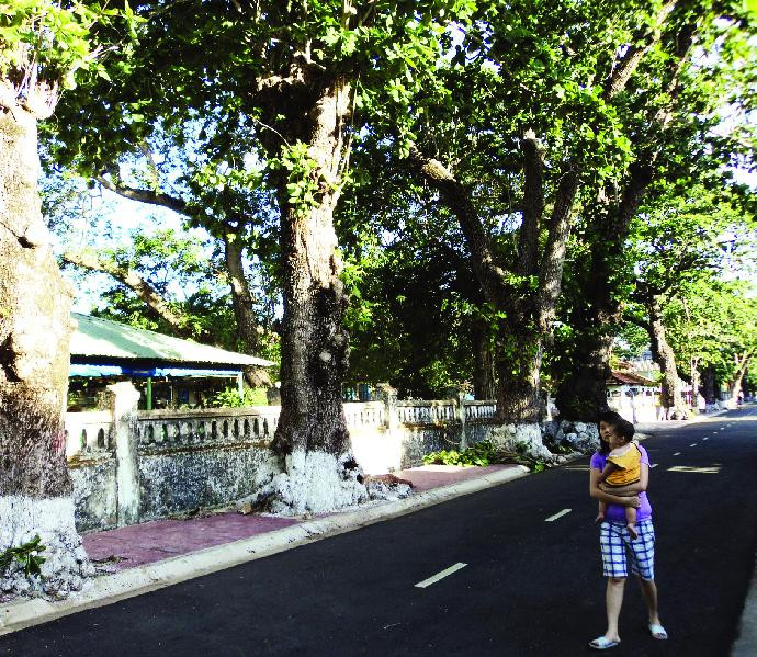 Hàng bàng cổ thụ giữa khu trại giam khét tiếng ngày xưa	Ảnh: S.N