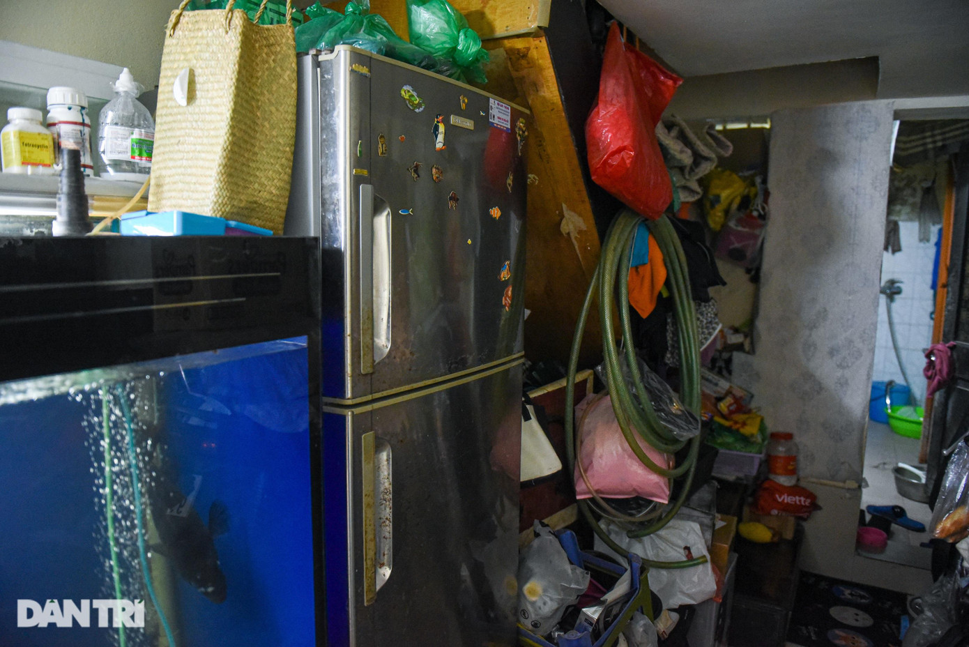 Chiếc tủ lạnh và bể cá là hai món đồ cỡ lớn hiếm hoi trong nhà. Nhiều năm nay, bà Hương cũng không thể sắm sửa nội thất mới vì không gian lối đi và nơi ở không cho phép.