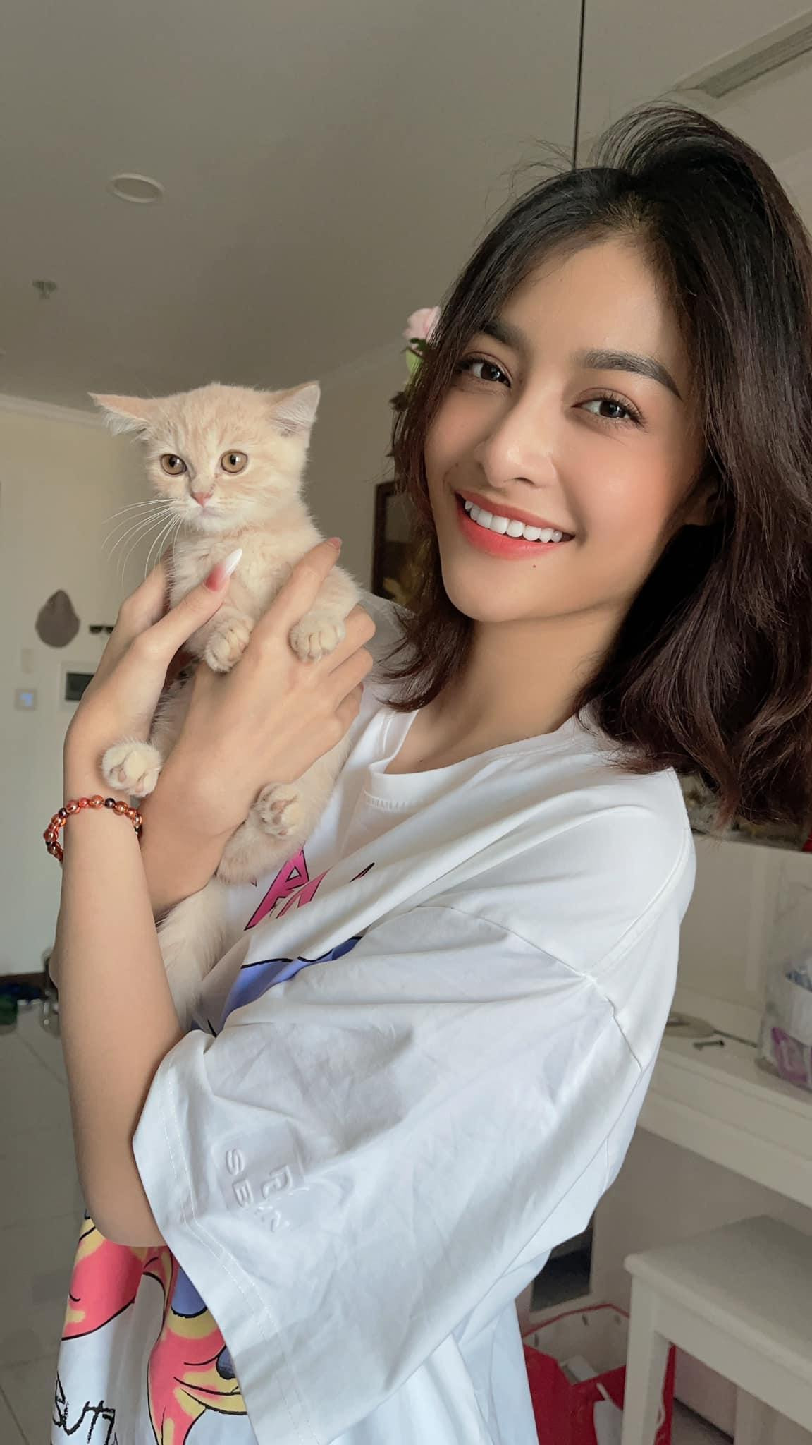 Á hậu Kiều Loan khoe vẻ dễ thương bên mèo cưng. Á hậu Kiều Loan khoe vẻ dễ thương bên mèo cưng.