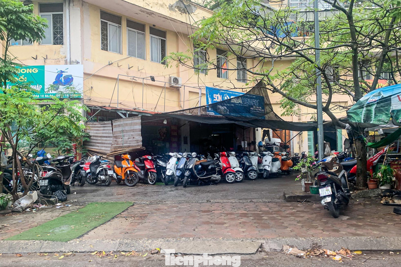 Người dân sống ở khu vực trên rất bức xúc vì tình trạng mất an ninh trật tự kéo dài nhiều năm nhưng không được giải quyết. Người dân sống ở khu vực trên rất bức xúc vì tình trạng mất an ninh trật tự kéo dài nhiều năm nhưng không được giải quyết.