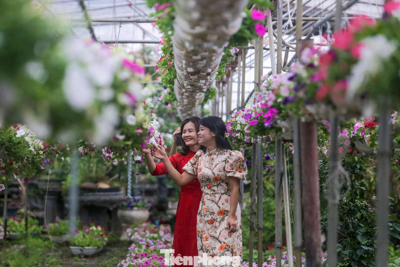 Lễ hội hoa sẽ là nơi cho người dân, du khách, giới trẻ thả hồn “check in” và hòa mình vào thế giới các loài hoa.