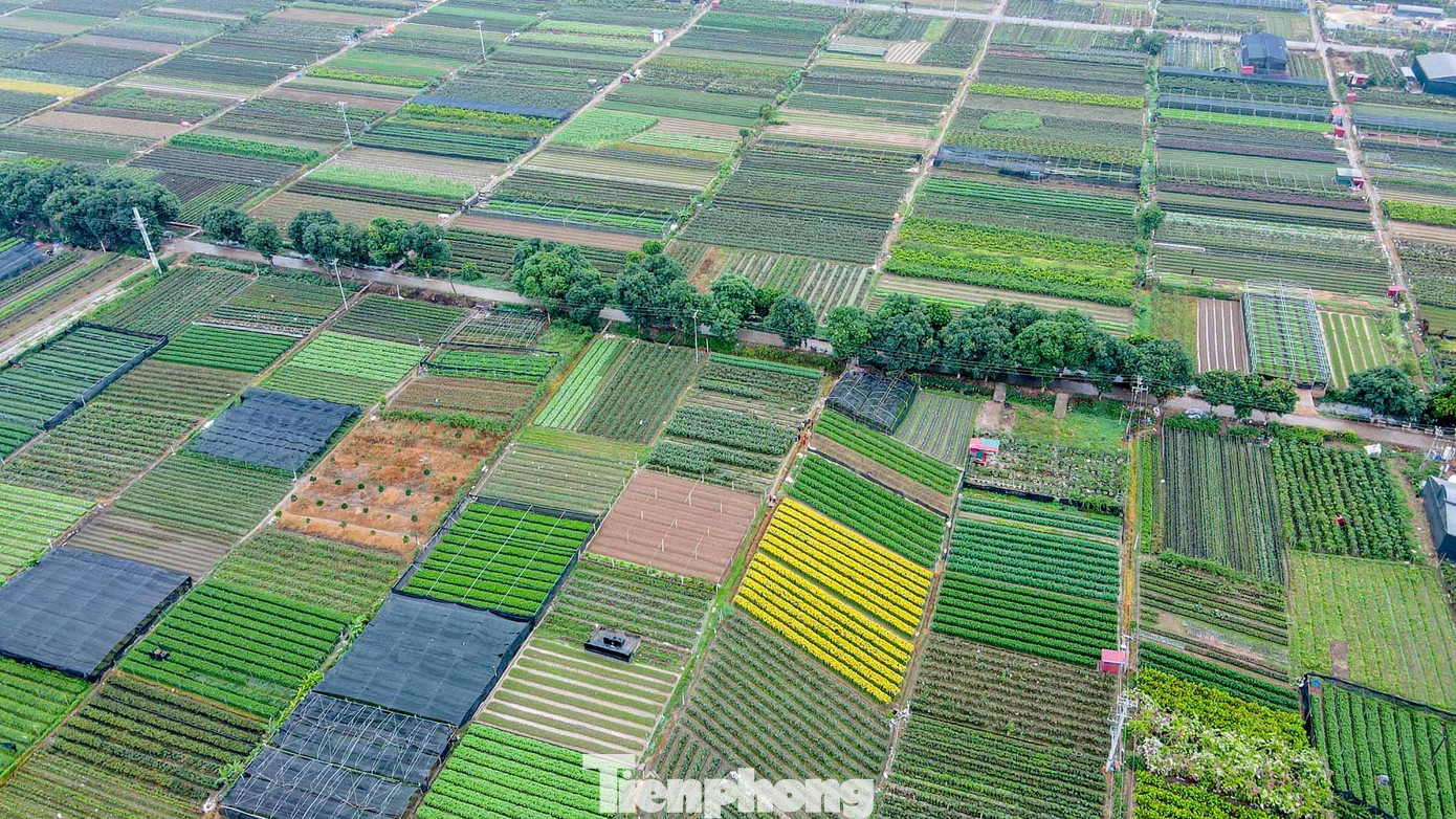 Từ ngày 09/12 đến ngày 11/12, tại huyện Mê Linh (Hà Nội) sẽ diễn ra Lễ hội hoa Mê Linh năm 2022 Chủ đề “Mê Linh rực rỡ sắc hoa”. Đây cũng là festival hoa đầu tiên được tổ chức tại "thủ phủ" này.