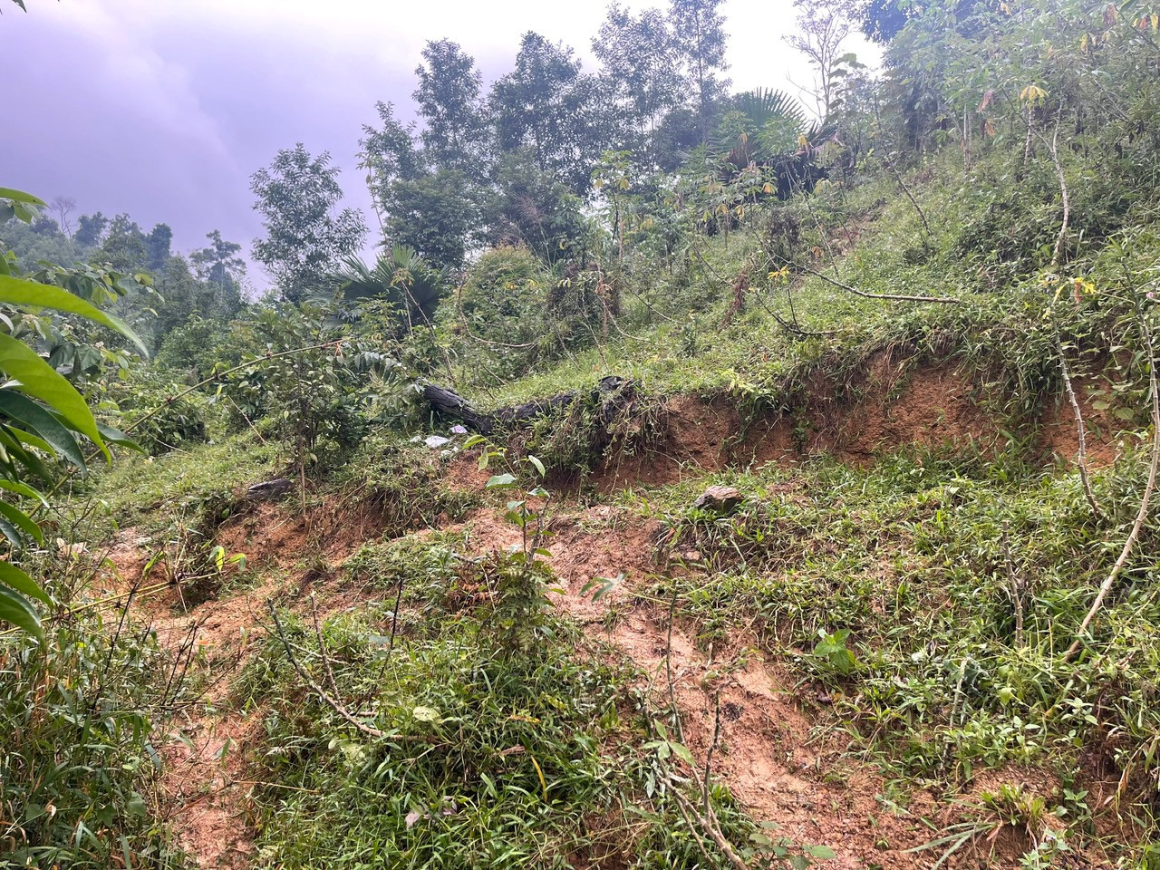 Vết nứt dài hơn 300m, có nơi rộng 1m, nhiều đoạn đã bị sụt xuống hơn 2m. Vết nứt dài hơn 300m, có nơi rộng 1m, nhiều đoạn đã bị sụt xuống hơn 2m.