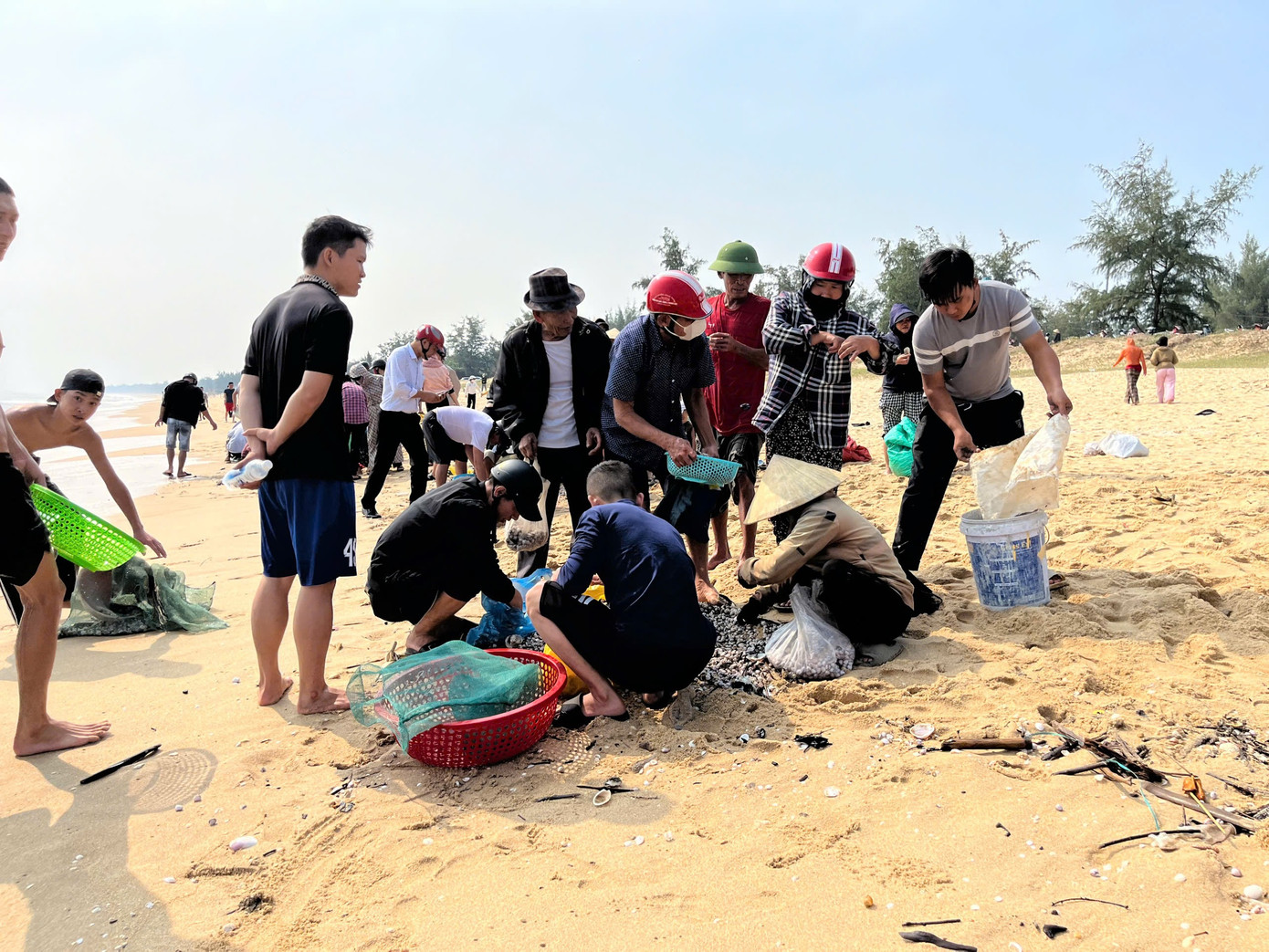 Người dân dùng vợt xúc sò từ dưới biển lên, đổ lên bãi cát. Sau đó, họ nhặt những con còn sống và phân loại sò để mang về.