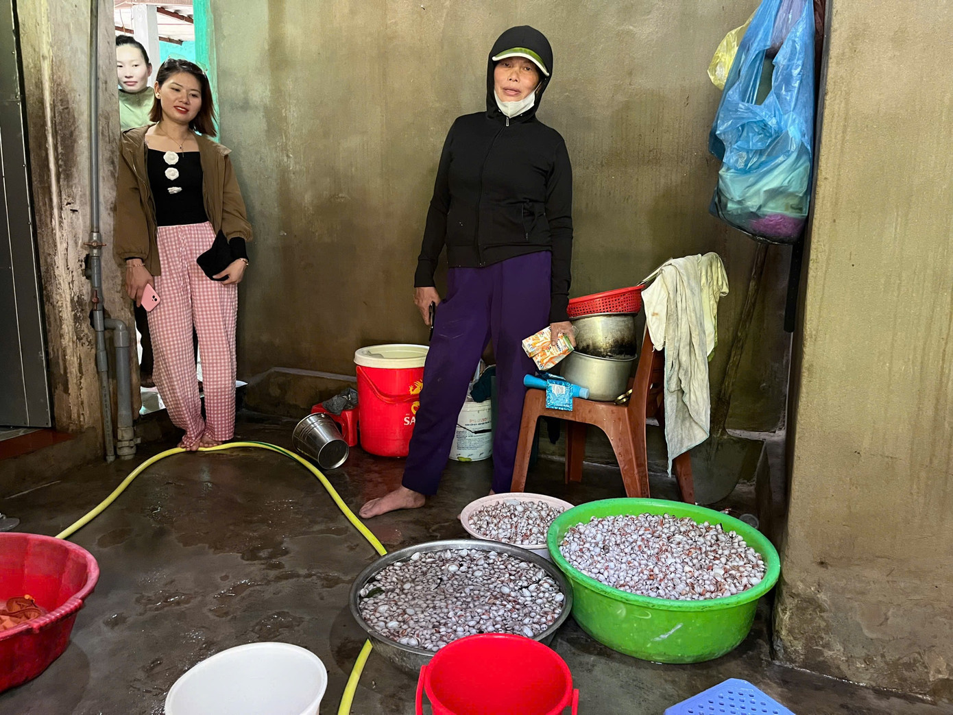 Với giá bán dao động từ 20.000 đồng đến trên 30.000 đồng/kg, một số cá nhân thu nhập tiền triệu mỗi ngày. Việc nhặt sò biển sau mưa bão đã giúp người dân có thêm thu nhập đáng kể.