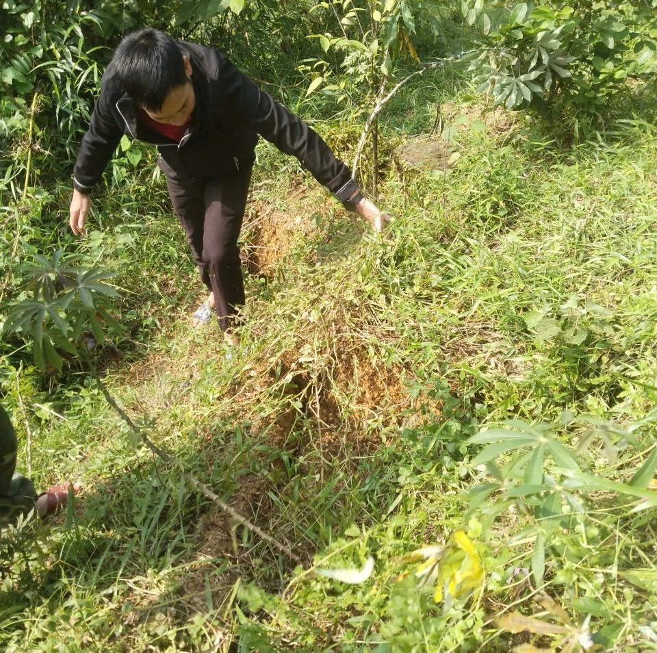 Vết nứt xuất hiện ở quả đồi phía sau bản Tân Lý sau những trận mưa do ảnh hưởng bão số 6. Vết nứt xuất hiện ở quả đồi phía sau bản Tân Lý sau những trận mưa do ảnh hưởng bão số 6.