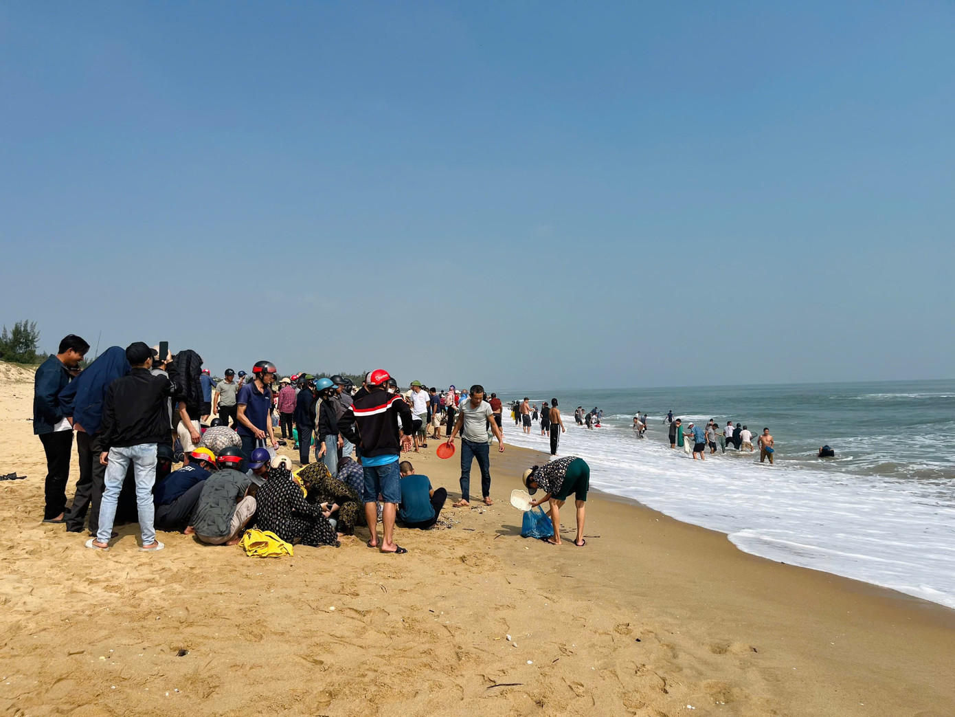 Với giá bán dao động từ 20.000 đồng đến trên 30.000 đồng/kg, một số cá nhân thu nhập tiền triệu mỗi ngày. Việc nhặt sò biển sau mưa bão đã giúp người dân có thêm thu nhập đáng kể.