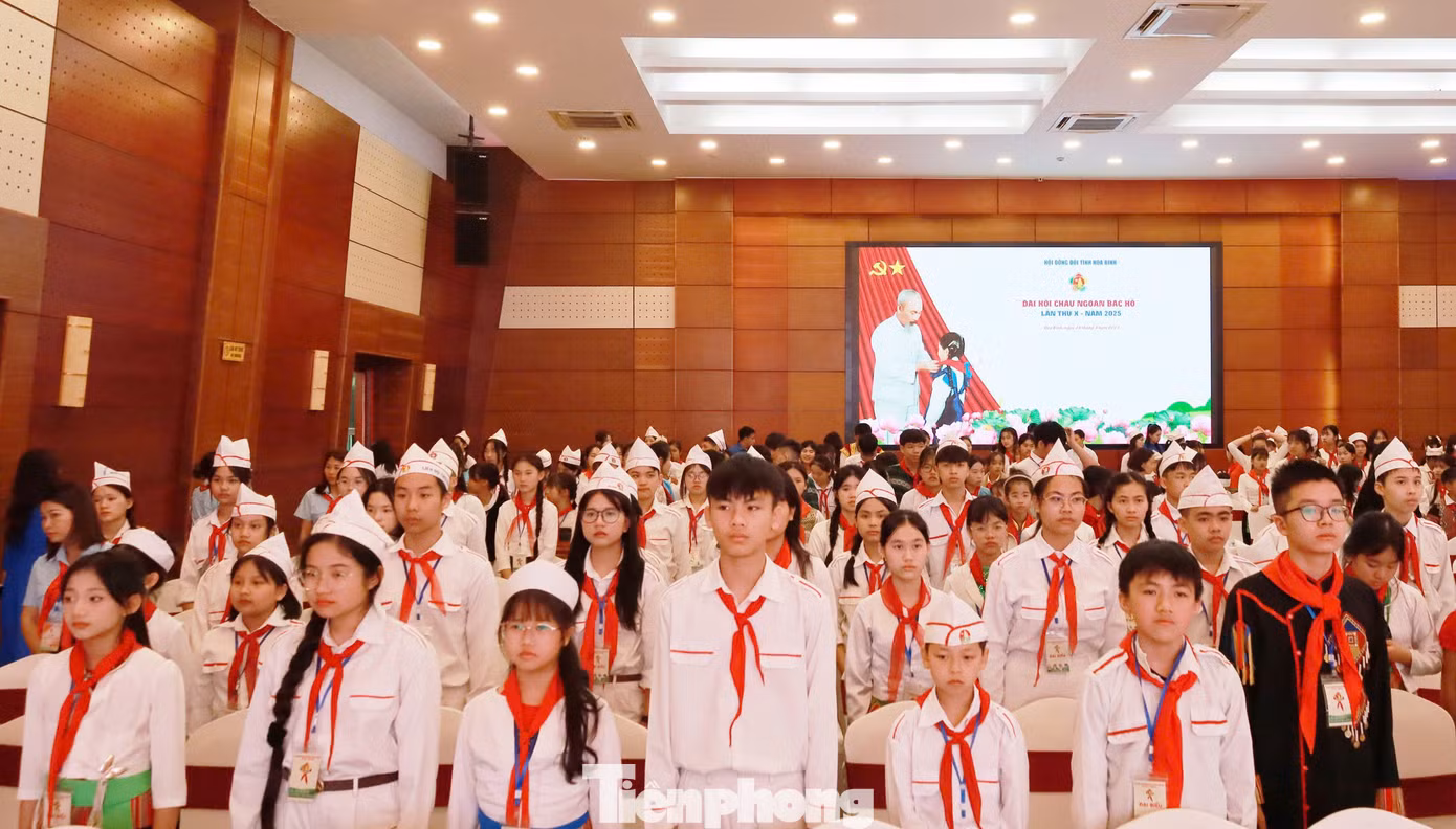 270 "bông hoa" ưu tú, xuất sắc nhất, đại diện cho hơn 150 nghìn bạn thiếu niên nhi đồng trong toàn tỉnh Hòa Bình.