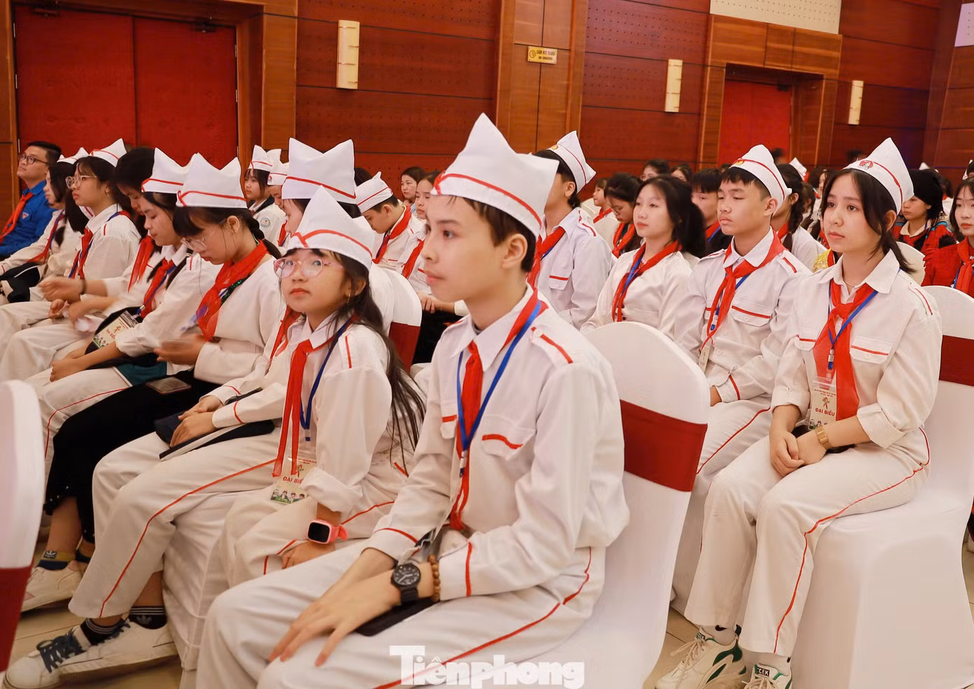 270 "bông hoa" ưu tú, xuất sắc nhất, đại diện cho hơn 150 nghìn bạn thiếu niên nhi đồng trong toàn tỉnh Hòa Bình.