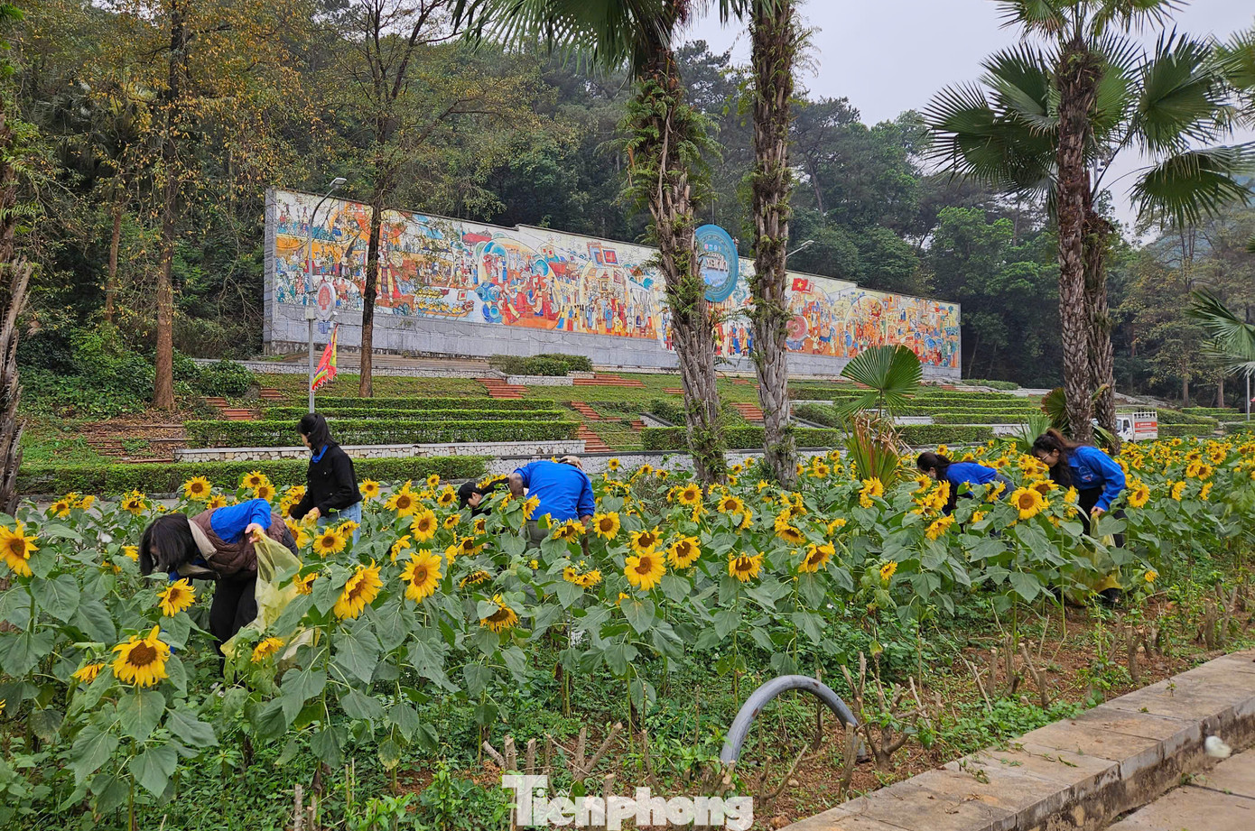 Thanh niên tình nguyện thực hiện các nhiệm vụ: Đội hình con Lạc cháu Hồng và thiếu nhi tham gia đoàn dâng hương vào sáng ngày 10/3 ÂL. Thanh niên tình nguyện thực hiện các nhiệm vụ: Đội hình con Lạc cháu Hồng và thiếu nhi tham gia đoàn dâng hương vào sáng ngày 10/3 ÂL.