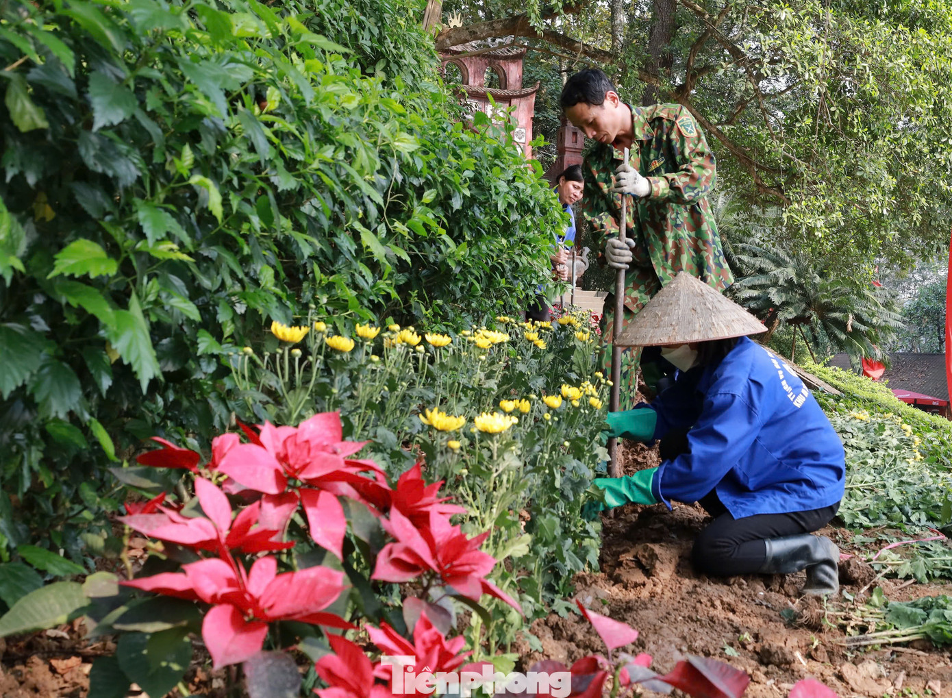 Công nhân của Ban Quản lý di tích lịch sử Đền Hùng trồng hoa, tạo cảnh quan chuẩn bị Giỗ Tổ Hùng Vương và Tuần Văn hóa - Du lịch Đất Tổ năm 2025.