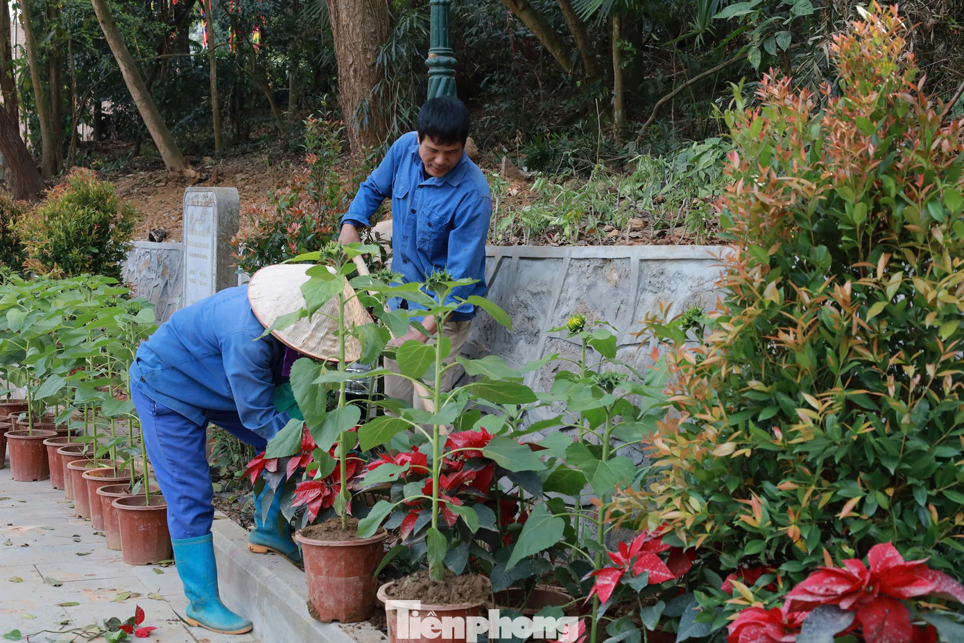 “Việc tổ chức, sắp xếp, bố trí các địa điểm bán hàng, kinh doanh dịch vụ, tạo môi trường kinh doanh văn minh, lành mạnh đáp ứng nhu cầu kinh doanh của các hộ dân và phục vụ đồng bào, du khách về thăm viếng đền Hùng”, ông Phạm Tiến Đạt cho biết.
