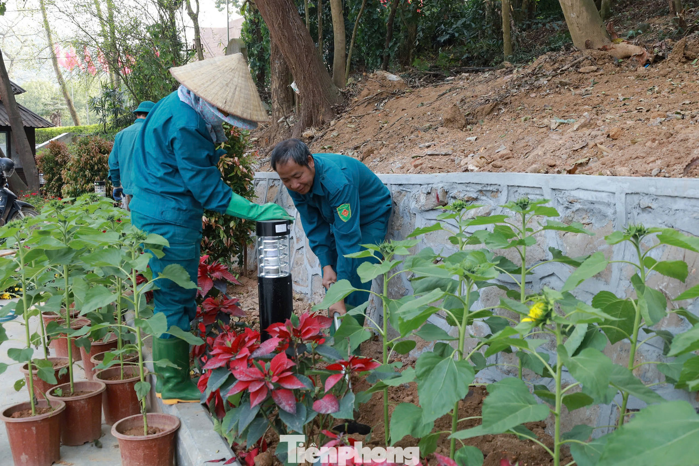 “Việc tổ chức, sắp xếp, bố trí các địa điểm bán hàng, kinh doanh dịch vụ, tạo môi trường kinh doanh văn minh, lành mạnh đáp ứng nhu cầu kinh doanh của các hộ dân và phục vụ đồng bào, du khách về thăm viếng đền Hùng”, ông Phạm Tiến Đạt cho biết.