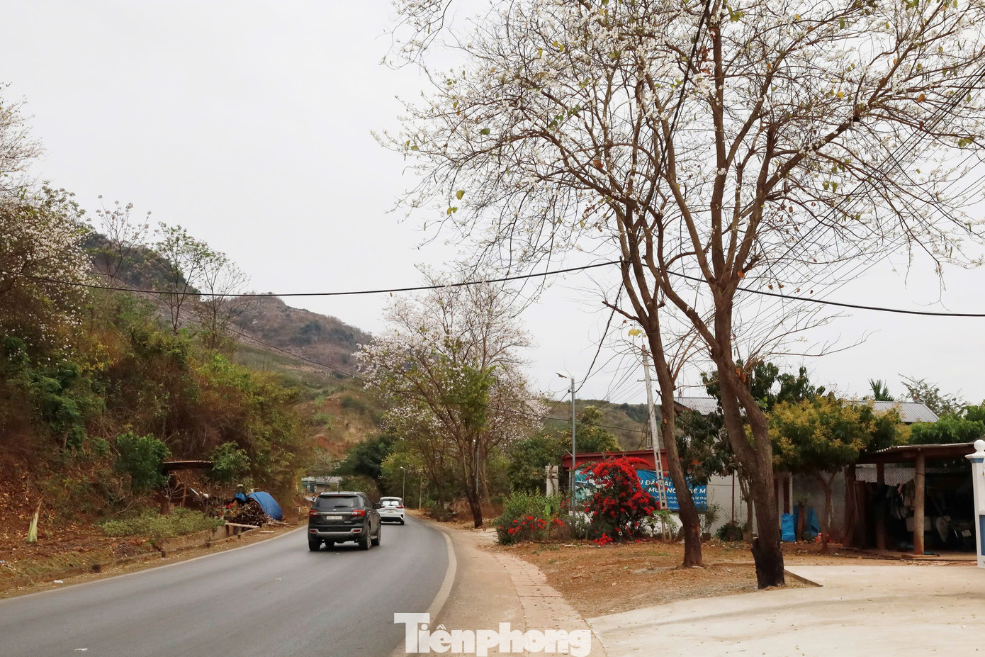 Quốc lộ 6 đóng vai trò quan trọng trong phát triển kinh tế - xã hội của các tỉnh vùng Tây Bắc, nhưng hiện nay có tốc độ lưu thông thấp. Quốc lộ 6 đóng vai trò quan trọng trong phát triển kinh tế - xã hội của các tỉnh vùng Tây Bắc, nhưng hiện nay có tốc độ lưu thông thấp.