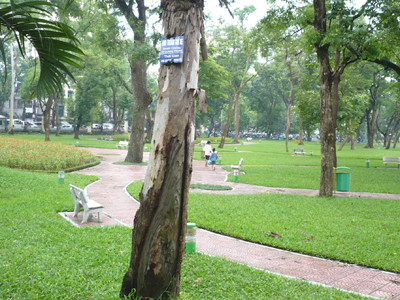 Khu vực CVTN phía đường Nguyễn Đình Chiểu vừa được chấp thuận xây dựng điểm đỗ xe 1.5000m2. Ảnh: Trọng Đảng. Khu vực CVTN phía đường Nguyễn Đình Chiểu vừa được chấp thuận xây dựng điểm đỗ xe 1.5000m2. Ảnh: Trọng Đảng