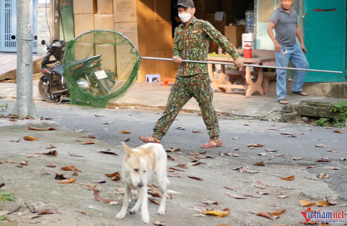 Chỉ trong 1 thời gian ngắn tuần tra, đội chuyên trách đã phát hiện nhiều chú chó đang đi rông, không rọ mõm nên bố trí đội hình vây bắt.