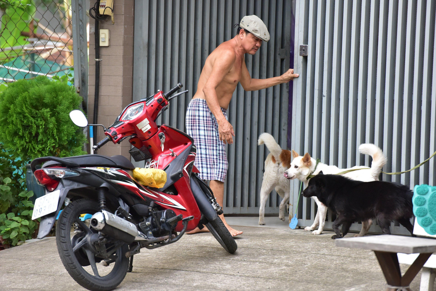 Một hộ dân thấy sự xuất hiện của đội bắt chó liền xua chó chạy vào nhà để tránh bị vây bắt, xử lý.