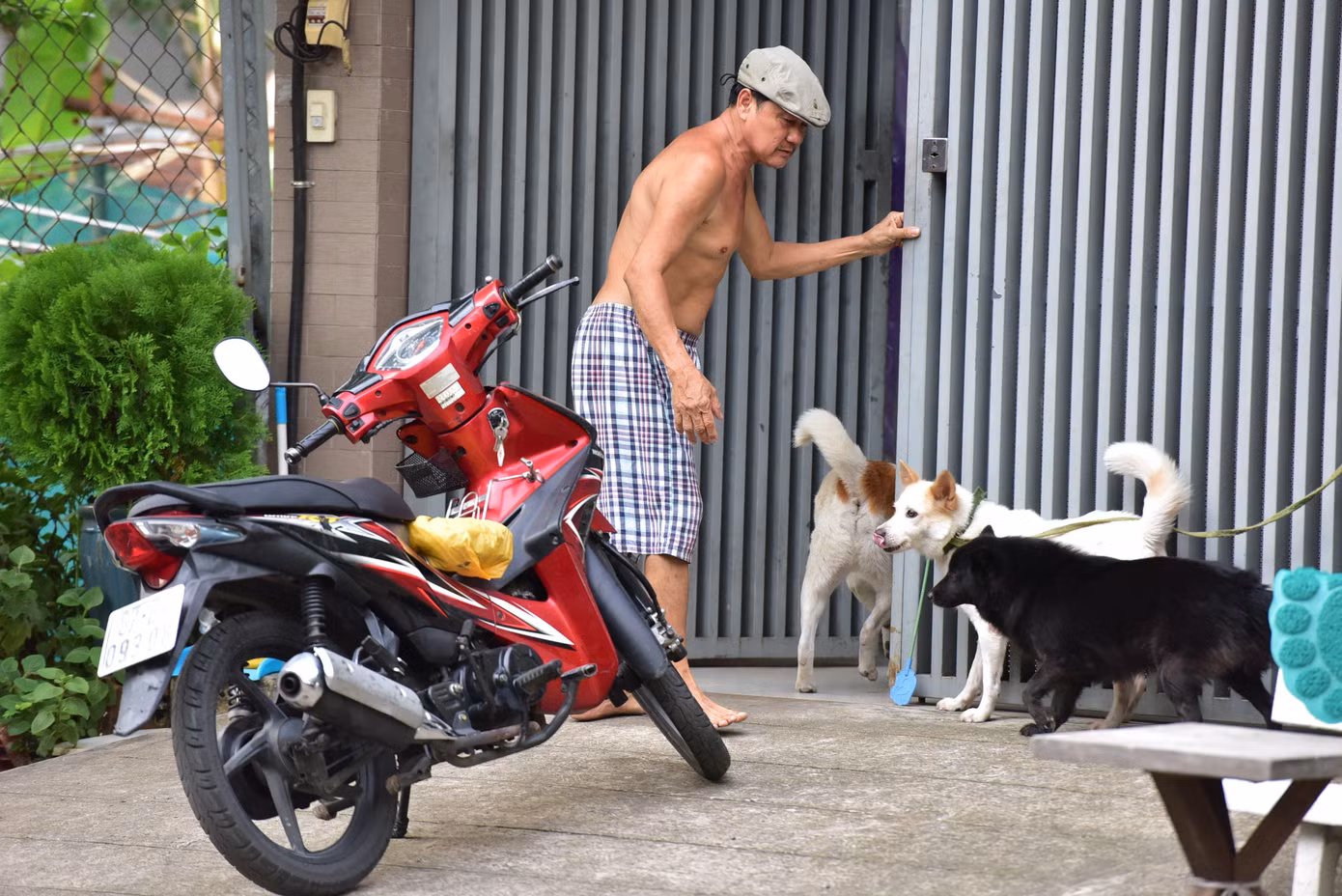 Một hộ dân thấy sự xuất hiện của đội bắt chó liền xua chó chạy vào nhà để tránh bị vây bắt, xử lý.