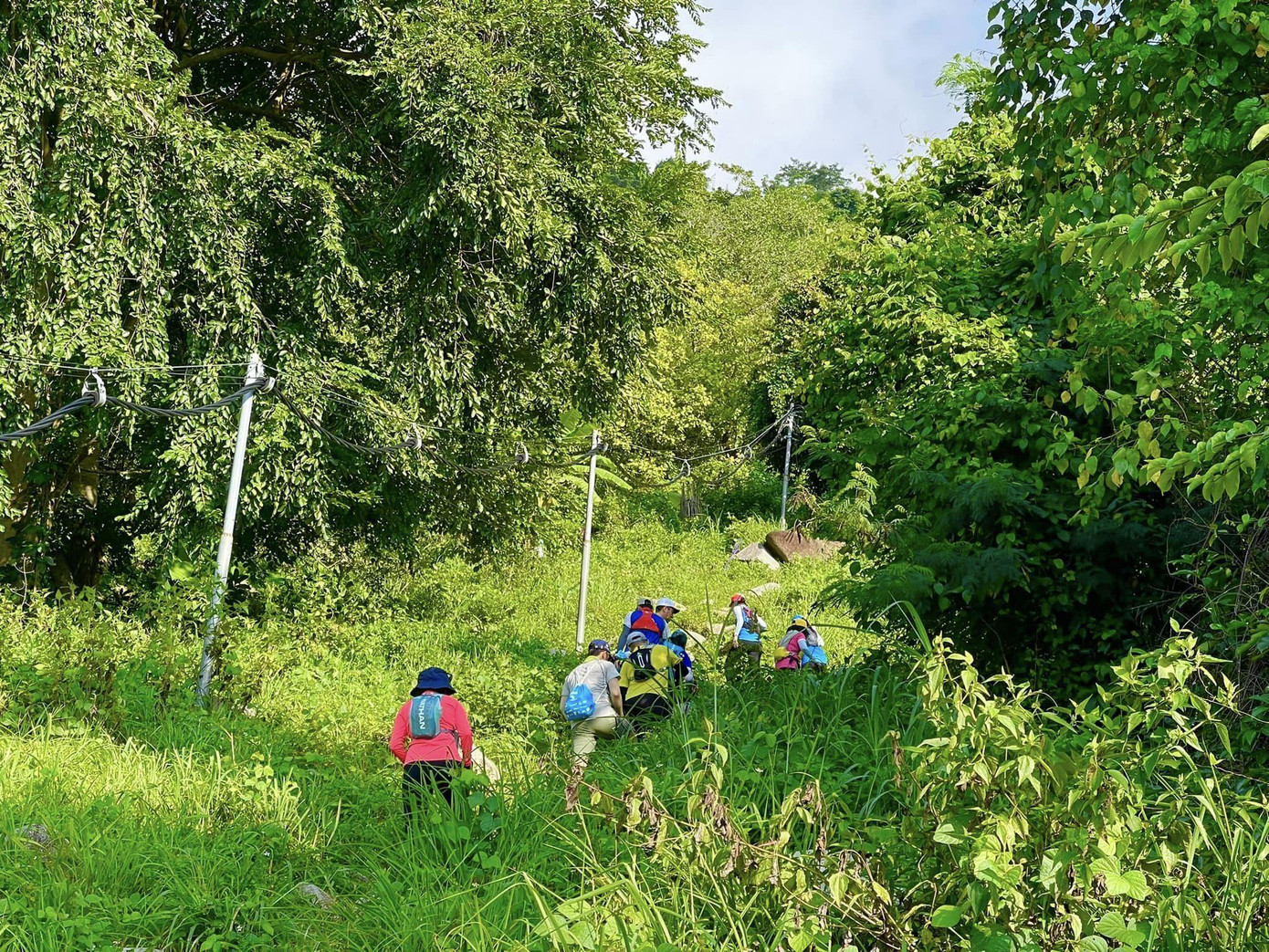 (Ảnh: Nguyễn Hậu)