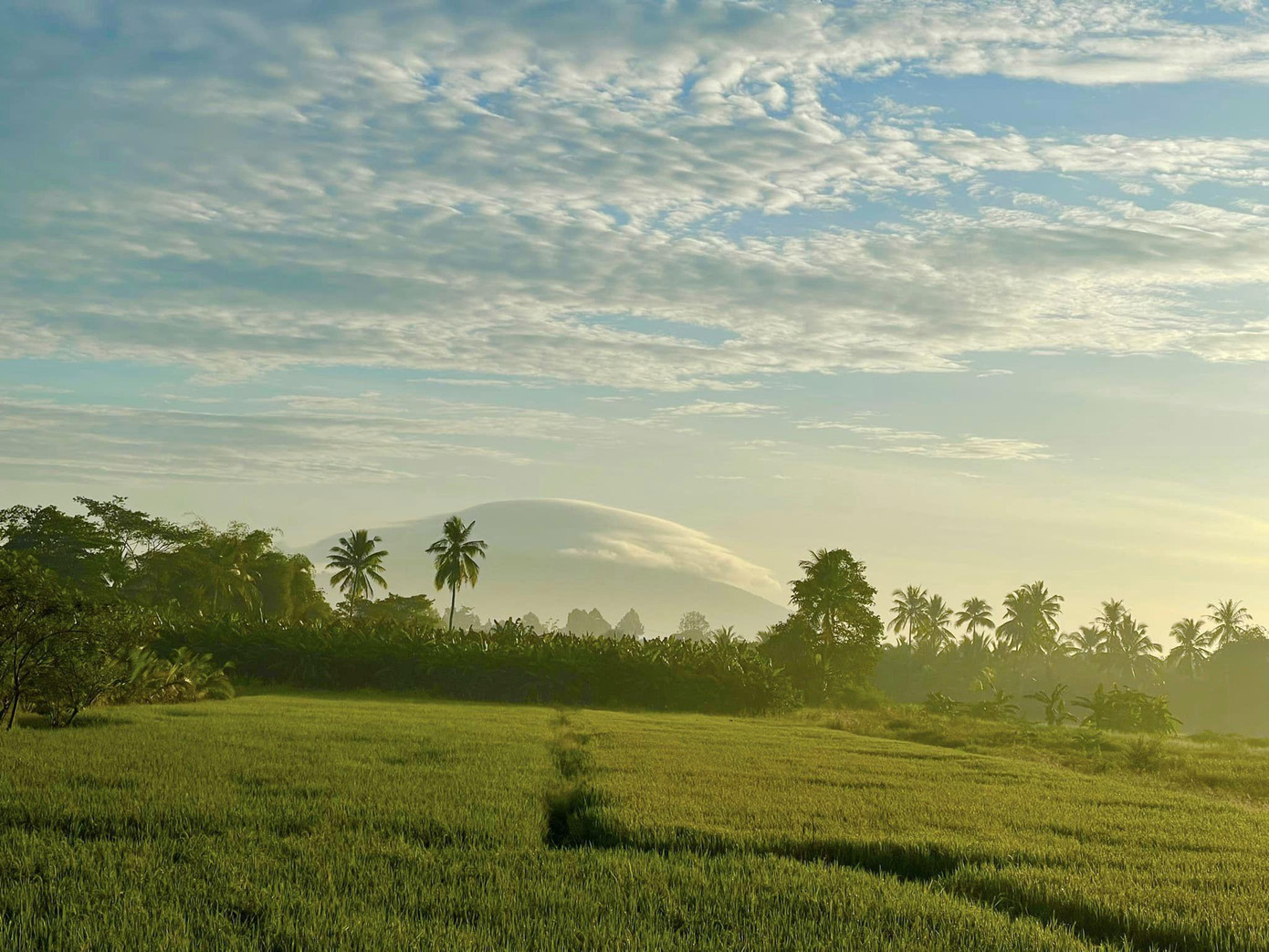 Hình ảnh do anh Hậu ghi lại lúc 6h30 sáng (Ảnh: Nguyễn Hậu)