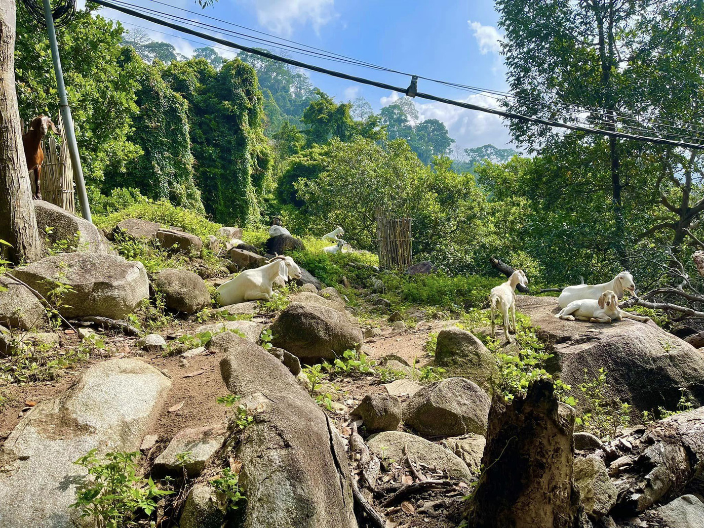 (Ảnh: Nguyễn Hậu)