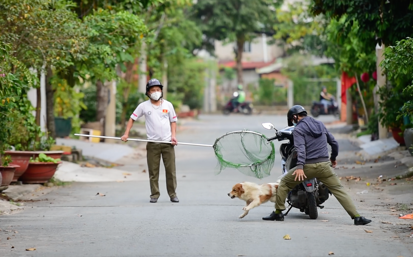 Các thành viên trong đội đang vây bắt chó thả rông trong một con hẻm