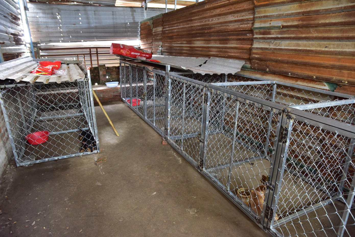 Hiện số chó thả rông bị bắt được tạm giữ tại trụ sở Ban Chỉ huy quân sự phường với 10 chuồng nuôi nhốt kiên cố.