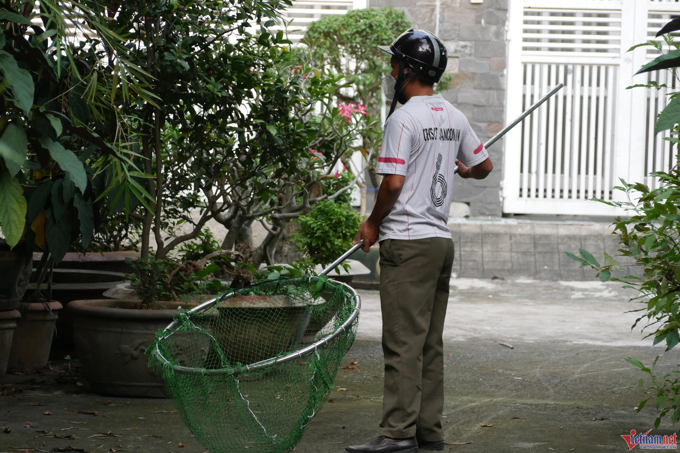 Đội bắt chó mang theo dụng cụ chuyên dụng tiếp cận những nơi người dân thả rông chó ra đường, không rọ mõm.