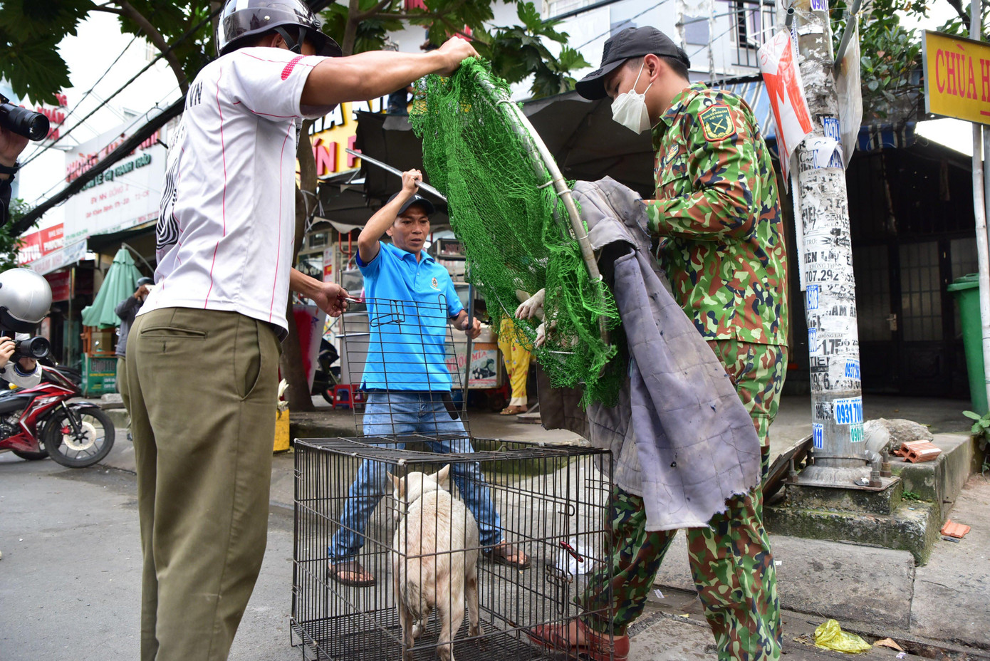 Bà Nguyễn Thị Thùy Hương - Phó chủ tịch UBND phường Hiệp Bình Chánh cho biết, đội bắt chó thả rông nhận được sự đồng tình của phần lớn người dân và việc thành lập đội cũng xuất phát từ chính phản ánh của người dân.