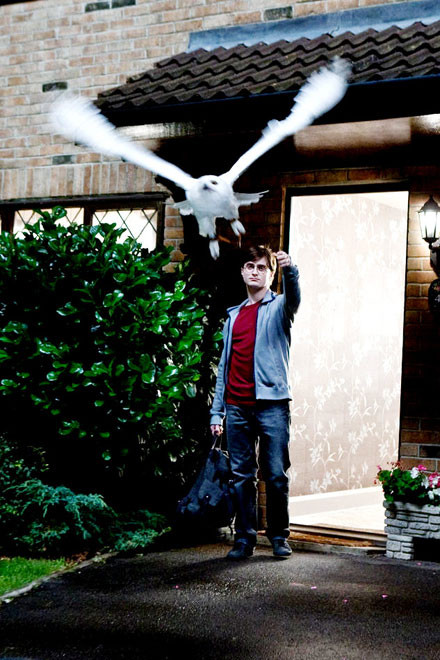 Hé lộ những hình ảnh mới nhất về “Harry Potter 7” ảnh 6