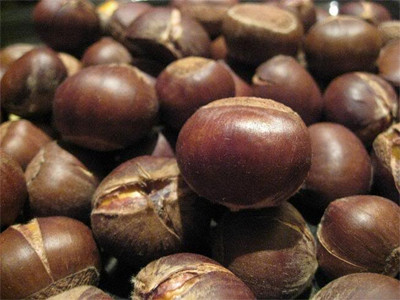 Hạt dẻ