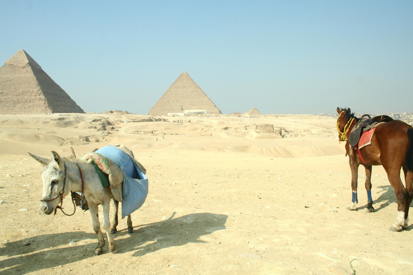 Kim Tự Tháp vắng bóng khách du lịch. Ảnh: Đình Thắng. Kim Tự Tháp vắng bóng khách du lịch Ảnh: Đình Thắng