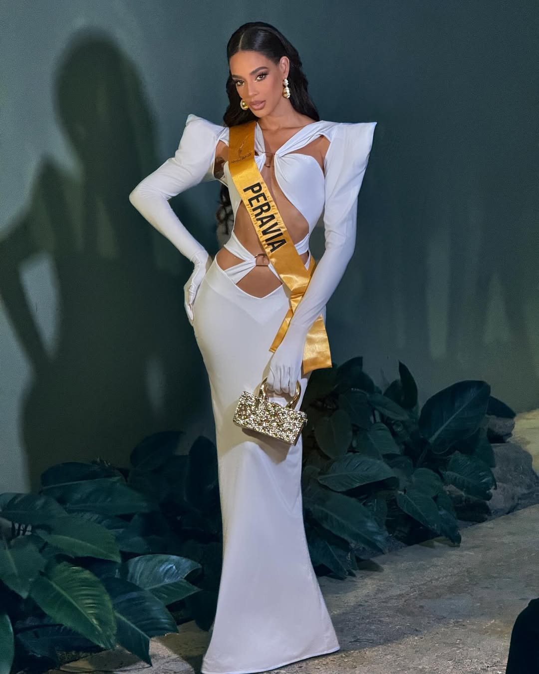 Ngoài công việc người mẫu, Madeline Mejía là kỹ sư hệ thống và có bằng thạc sĩ về nghi thức ngoại giao.