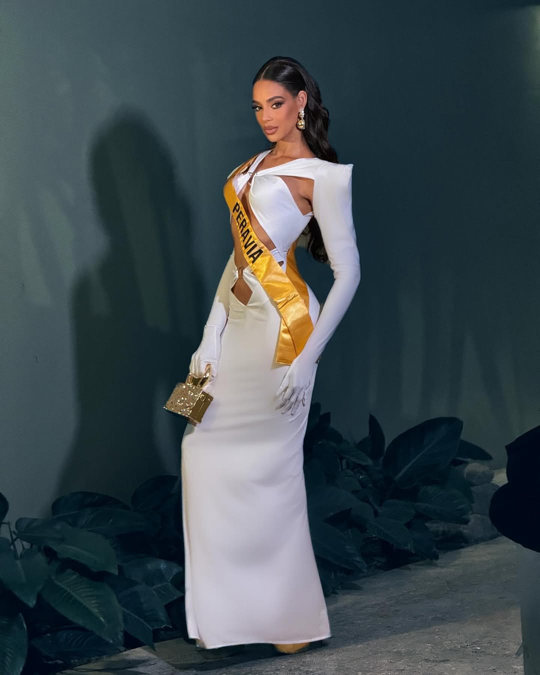 Ngoài công việc người mẫu, Madeline Mejía là kỹ sư hệ thống và có bằng thạc sĩ về nghi thức ngoại giao.