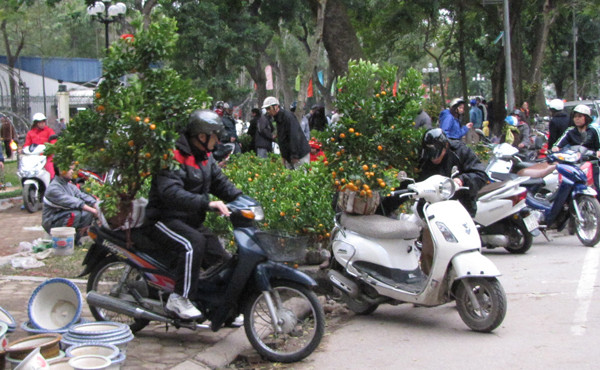 Giá hạ, nhiều người mua quất về chơi Tết