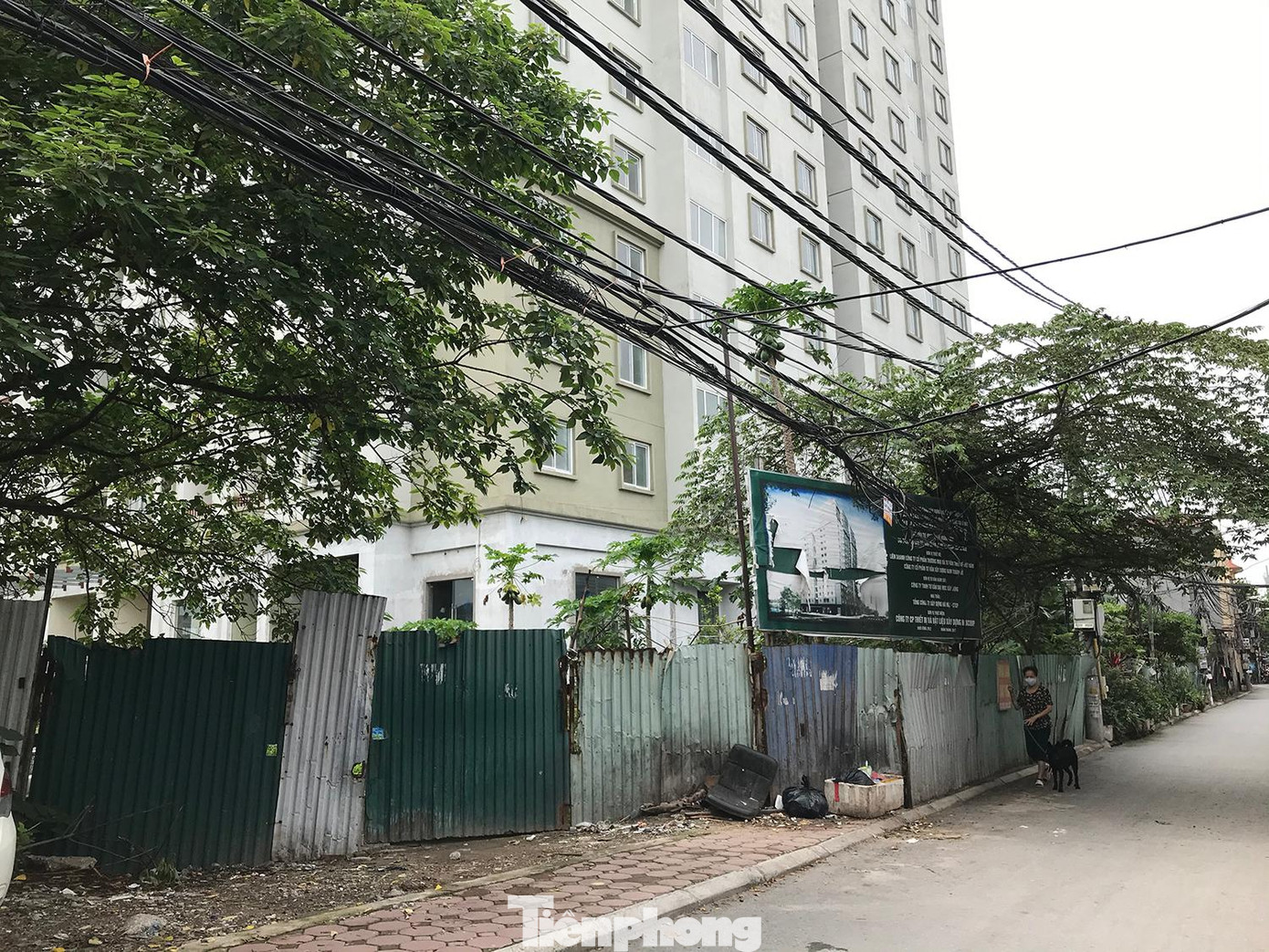 Nằm sâu trong ngõ 156 đường Tam Trinh (Yên Sở, Hoàng Mai), chung cư tái định cư này đã nhiều năm không có người ở, khung cảnh hoang tàn. Ảnh: Trường Phong