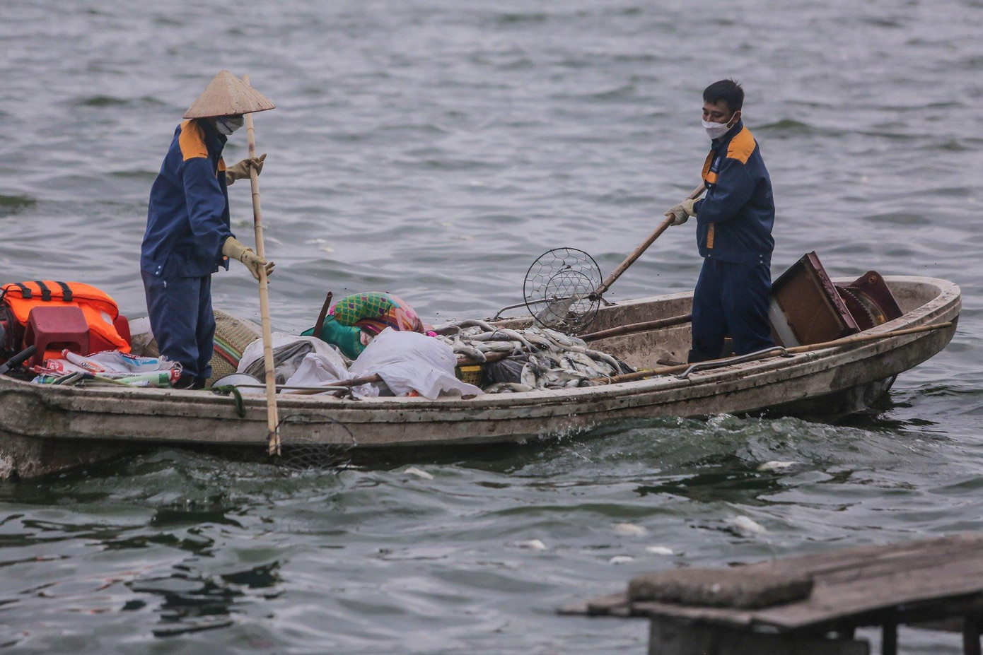 Mới đây, đại diện UBND quận Tây Hồ cho biết, lãnh đạo thành phố đã chỉ đạo quận Tây Hồ phối hợp với các đơn vị, sở, ngành liên quan khắc phục ngay hiện tượng cá chết kéo dài nhiều ngày ở hồ Tây. Một trong những nội dung quận triển khai là hỗ trợ, tăng cường thêm lực lượng vớt cá chết ở hồ Tây, đặc biệt là khu vực giữa lòng hồ. Ảnh: Duy Phạm Mới đây, đại diện UBND quận Tây Hồ cho biết, lãnh đạo thành phố đã chỉ đạo quận Tây Hồ phối hợp với các đơn vị, sở, ngành liên quan khắc phục ngay hiện tượng cá chết kéo dài nhiều ngày ở hồ Tây. Một trong những nội dung quận triển khai là hỗ trợ, tăng cường thêm lực lượng vớt cá chết ở hồ Tây, đặc biệt là khu vực giữa lòng hồ. Ảnh: Duy Phạm