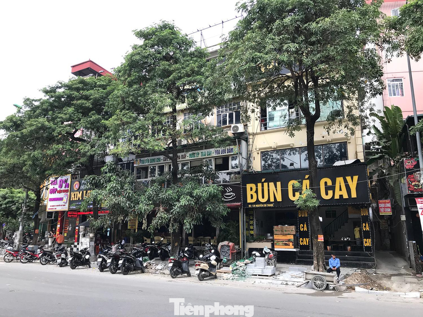 Hàng cây hoa sữa trên đường Nguyễn Chí Thanh. Ảnh: Trường Phong Hàng cây hoa sữa trên đường Nguyễn Chí Thanh. Ảnh: Trường Phong