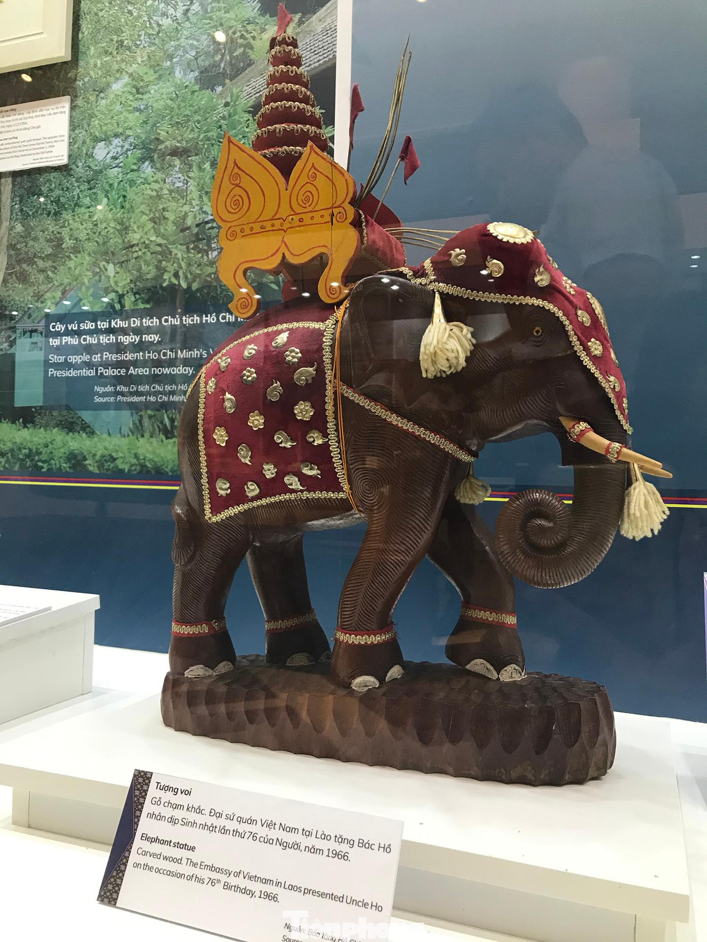 Tượng voi, gỗ chạm khắc, do Đại sứ quán Việt Nam tại Lào tặng Bác Hồ nhân dịp sinh nhật lần thứ 76 của Người, năm 1966. Ảnh: Trường Phong