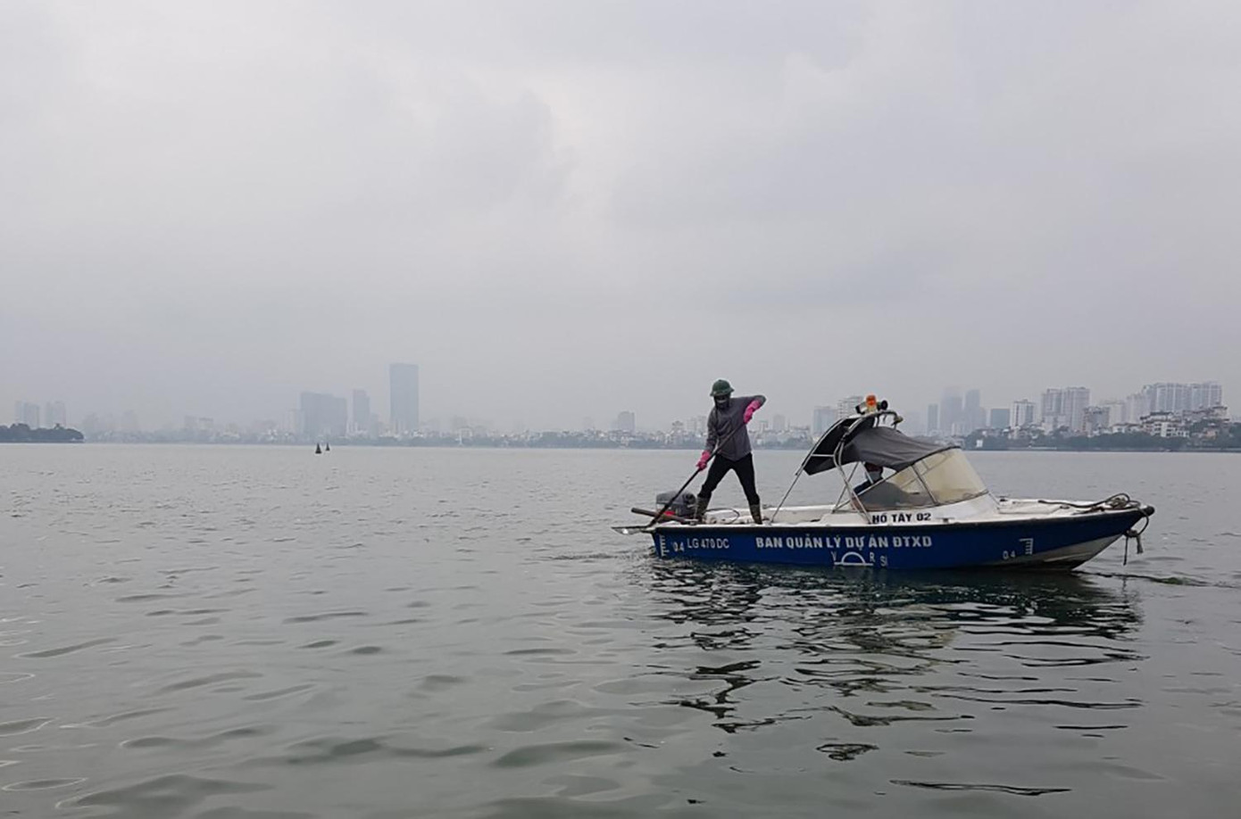 Theo đó, quận Tây Hồ đã huy động 2 ca nô của Ban QLDA Đầu tư xây dựng quận và bố trí công nhân vớt xác cá chết ở khu vực giữa lòng hồ, tránh tình trạng xác cá dồn vào bờ hoặc tồn tại lâu ngày giữa hồ, gây ô nhiễm nguồn nước, làm nghiêm trọng thêm tình trạng cá chết. Việc di chuyển của ca nô cũng góp phần sục nước, tăng cung cấp ô xy cho cá. Ảnh: PV Theo đó, quận Tây Hồ đã huy động 2 ca nô của Ban QLDA Đầu tư xây dựng quận và bố trí công nhân vớt xác cá chết ở khu vực giữa lòng hồ, tránh tình trạng xác cá dồn vào bờ hoặc tồn tại lâu ngày giữa hồ, gây ô nhiễm nguồn nước, làm nghiêm trọng thêm tình trạng cá chết. Việc di chuyển của ca nô cũng góp phần sục nước, tăng cung cấp ô xy cho cá. Ảnh: PV