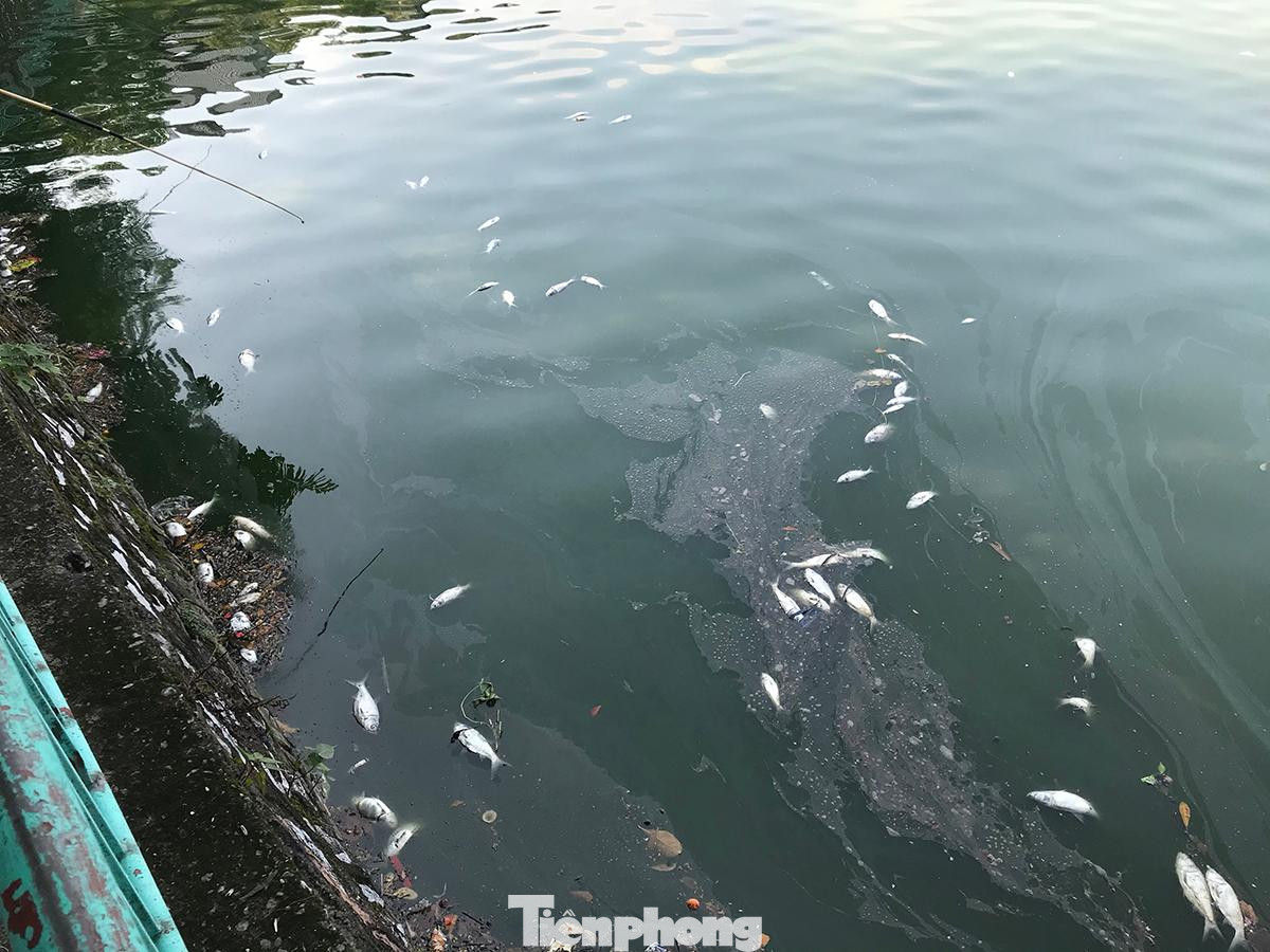 Theo quận Tây Hồ, quận đang kiến nghị thành phố có văn bản thống nhất đầu mối quản lý hồ Tây, giao về cho quận để tiện quản lý, khai thác Hồ Tây. Ảnh: Trường Phong